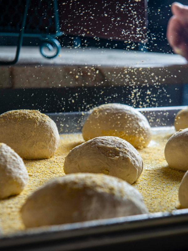 pexels-derwin-edwards-163348797-11209147 pexels-derwin-edwards-163348797-11209147